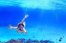 Capri Island Boat Tour from Positano with Snorkel and Free Time