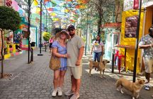 Puerto Plata City Tour with Private Guide, Rum,Chocolate.