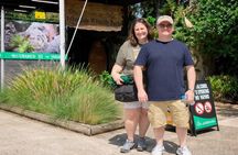 Blue Mountains Private Tour from Sydney: Scenic World & Koalas