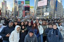 Tokyo 1 Day Private Tour from Cruise Port Walking Experience