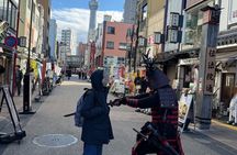 Tokyo 1 Day Private Tour from Cruise Port Walking Experience