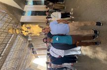 All inclusive Private tour Giza Pyramids & Grand Egyptian Museum