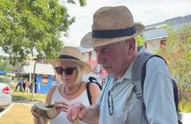 Jamaica Layover Tour from Kingston Airport: 7-9 hours City Tour