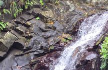 Grenada Rainforest and Beach Tour