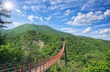 Small Group DMZ Highlight Tour MAX 10 with Suspension Bridge