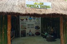 Ancient Cozumel, Mayan Ball Game and Tastings