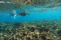 Private Snorkeling Tour at Blue Cave Okinawa