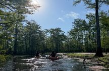 New Orleans Guided Kayak Swamp Tour