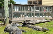Oak Alley Or St. Joseph Plantation Plus Swamp Tour Combination