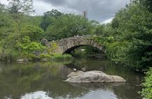 1 hour Discover Central Park Tour on Pedicab