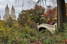1 hour Discover Central Park Tour on Pedicab