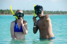 Saona Island Tour from La Romana Port for MSC Opera Passengers