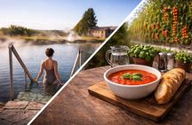 Golden Circle with 6 stops & Secret Lagoon Visit (Private)