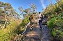 Blue Mountains Dual Valley Scenic Walk Guided Tour from Sydney