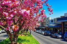 Blue Mountains Dual Valley Scenic Walk Guided Tour from Sydney