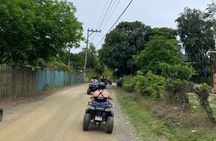 Roatan Excursion: ATV Adventure / Sloths and Monkey Hangout
