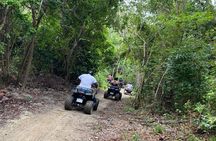 Roatan Excursion: ATV Adventure / Sloths and Monkey Hangout