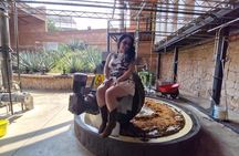 Tour to Tequila from Guadalajara: Barrel Tour