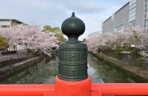 Skip the Crowds Kyoto 8 Million Gods Bike Adventure