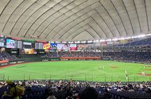 Tokyo Baseball Watching Guided Tour With Game Tickets