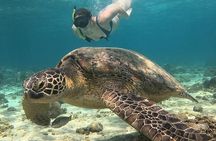 Private 3 Gili Islands Snorkeling Tour from Lombok