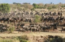 3 Day Serengeti and Ngorongoro Safari Adventure