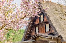 Shirakawago & Takayama Bus Tour from Nagoya w/Optional Lunch