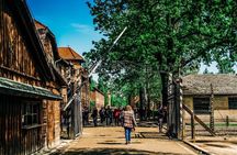 Auschwitz-Birkenau and Wieliczka Salt Mine Day Tour from Krakow with private car