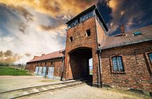 Auschwitz-Birkenau and Wieliczka Salt Mine Day Tour from Krakow with private car