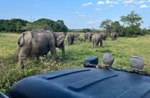 Wasgamuwa National Park Private Safari