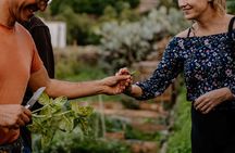 Tenerife's Hidden Oasis Cover: Sustainable Farm Tour