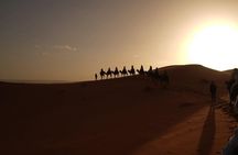 3-Day Tour from Marrakech to Fes via Sahara Desert & Camp