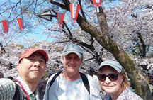 Best of Tokyo Private Tour for Yokohama Cruise Passengers