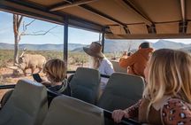 Safari Sunset Game Drive in Aquila with Lunch