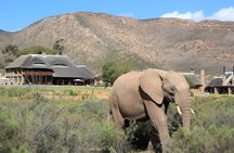 Safari Sunset Game Drive in Aquila with Lunch