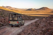 Safari Sunset Game Drive in Aquila with Lunch