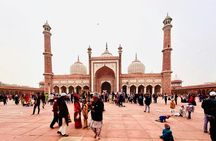 Full Day Delhi Sightseeing with Cultural Boat Ride Experience