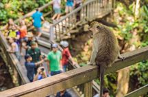 Ubud Highlights Private Tour All Inclusive with Jungle Swing