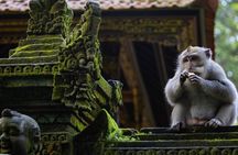 Ubud Highlights Private Tour All Inclusive with Jungle Swing