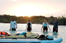 Bacalar Sunrise Paddle Board & kayaking with breakfast & Pick Up