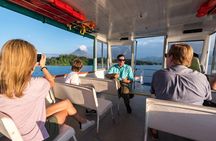 Boat Trip on Lake Arenal with Volcano Views