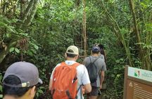 São Paulo Waterfalls Hike Beach View and Chairlift Tour