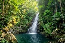 São Paulo Waterfalls Hike Beach View and Chairlift Tour