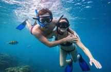 Private Catamaran Yacht Cabo All-Inclusive Food and Open Bar