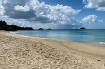 Secret Beach Escape in Antigua: Half-Day Experience