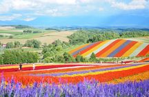 [Late Departure] Biei Best 5 Must-Visit Day Tour from Sapporo