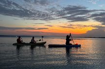 Bacalar Sunrise Paddle Board & kayaking with breakfast & Pick Up