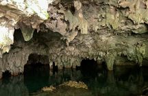 Tour to Cenotes Cavern without Crowds and MEXICAN TACOS