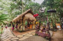 Bali Purification - Sacred Melukat Ritual at Beji Griya Waterfall