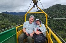 Mindo Cloud Forest: Hummingbirds, Birding & Waterfalls | Private